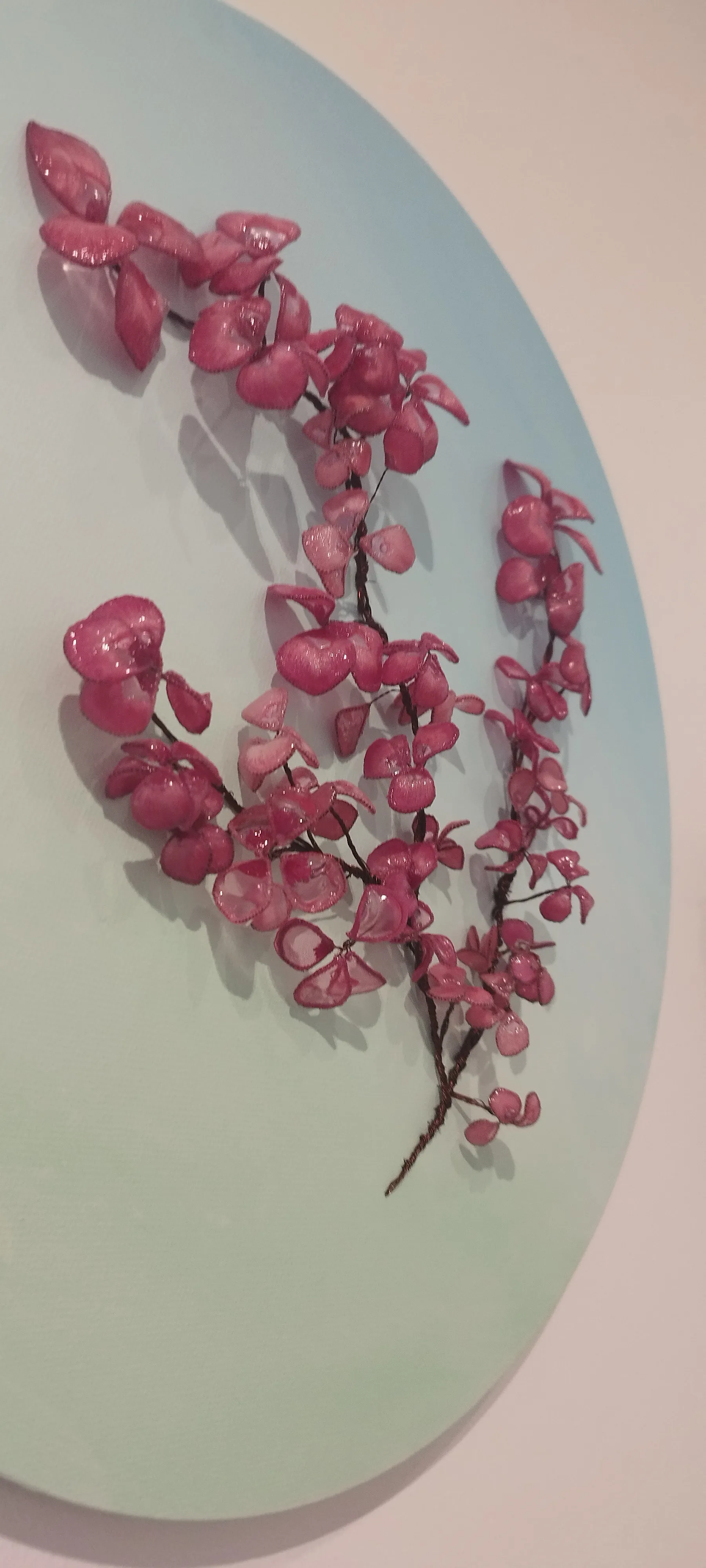 Frangipanier rose