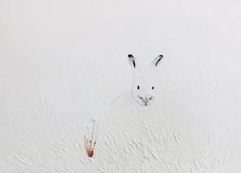 Lapin des neiges